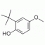 B801852-25g 3-叔丁基-4-羟基苯甲醚,98%