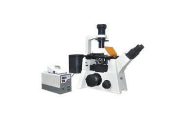 广西倒置荧光显微镜MF53