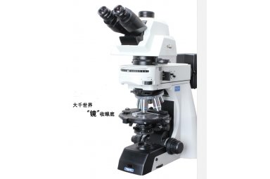 科研偏光显微镜NP900，图像清晰