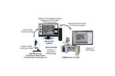  光-电联用显微镜法（CLEM）系统