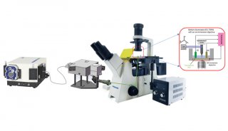 电化学-针尖增强拉曼光谱测试系统