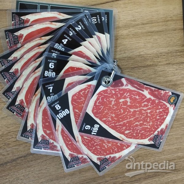 澳洲标准牛肉大理石纹比色卡