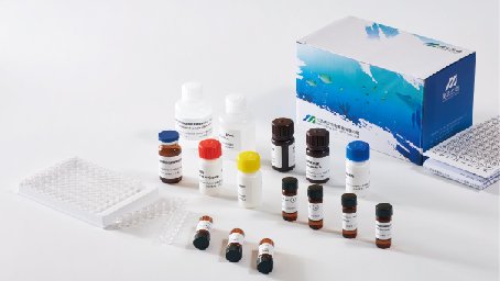 美正腹泻性贝类毒素ELISA检测试剂盒 适用水产中肌肉、肝脏等部分