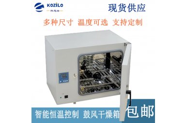 小型烘箱,高温烤箱DHG-9030A