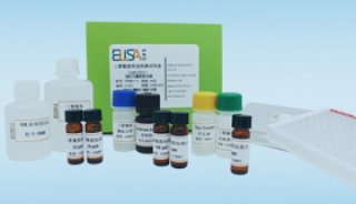 黄曲霉毒素总量检测试剂盒 201001