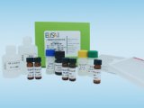 沙丁胺醇检测试剂盒 210201