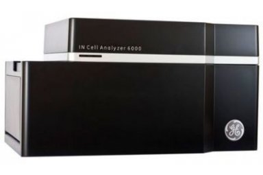 IN Cell Analyzer 6000激光共聚焦成像分析系统
