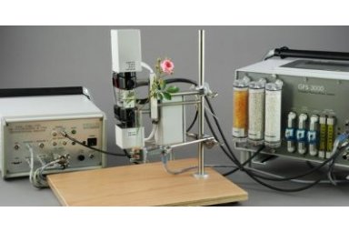 气体交换-P700-叶绿素荧光同步测量系统