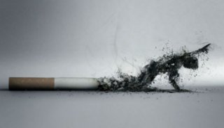 国家卫计委：全国性公共场所控烟条例有望今年出台1&nbsp;