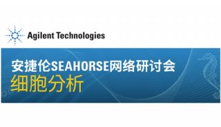 seahorse讲座_副本