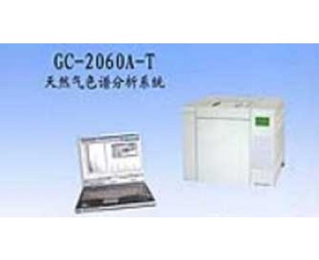 GC-2060A-T天然气分析专用气相色谱仪 