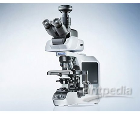  奥林巴斯BX43手动系统显微镜（正置 ）