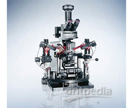 奥林巴斯BX61WI/BX51WI载物台固定式显微镜