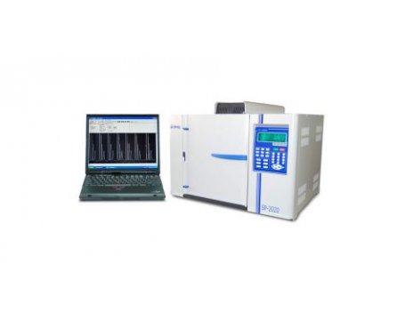 SP-2020型气相色谱仪实验室在线型