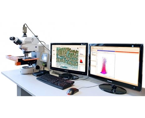 TissueFAXS Histo 超大玻片全景组织细胞定量分析系统