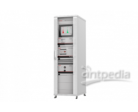 EXPEC 2000 环境空气非甲烷总烃自动监测系统