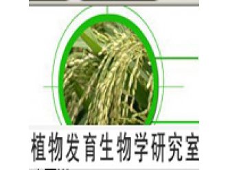 植物发育生物学研究室