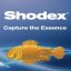 shodex离子色谱柱（阳离子分析）