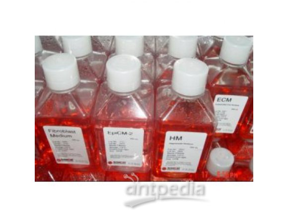 RPMI-1640培养基（含L-谷氨酰胺，不含酚红指示剂）