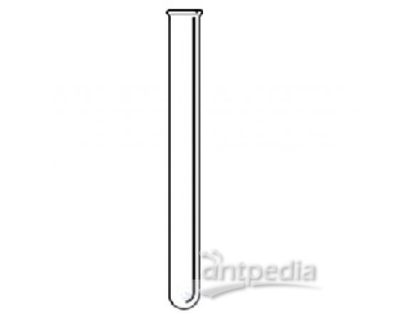 TEST TUBES, FIOLAX-BOROSILICATE-GLASS,   WITH RIM AND  ROUND BOTTOM, L. 180 MM, O.D. 18 MM