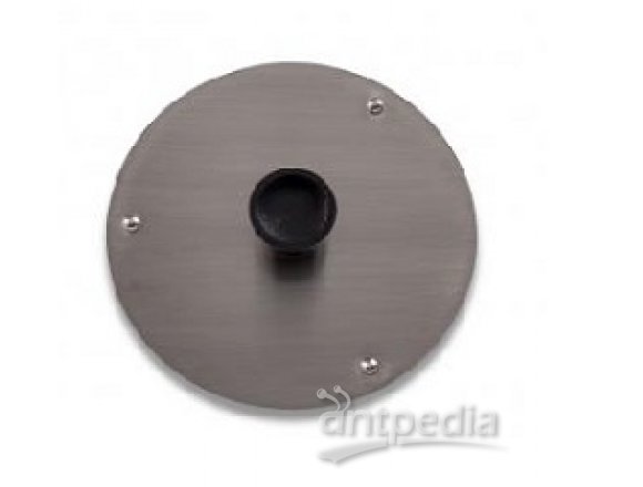 Cover stainless steel for 2.125 in bath cover disk holes