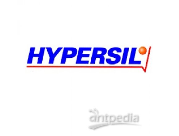 Hypersil BDS C18柱