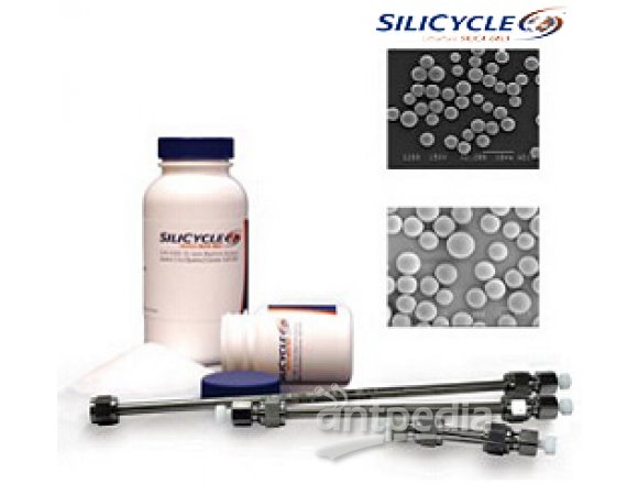 SiliaFlash? G60REY, GL 32D, GL 45OPCOCK AND SCREW CAP,SILICONE GASKET NS-STOPPER00 ML, DURAN