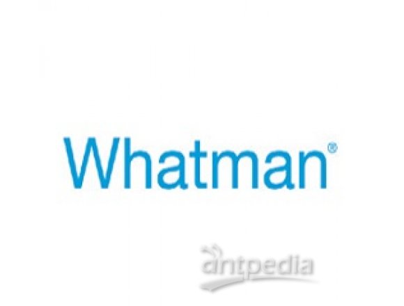 Whatman Anotop 25 针式滤器(灭菌的)