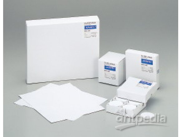 AdvantecQR-100石英纤维滤纸