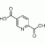 吡啶-2，5-二羧酸