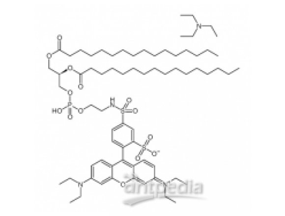 Rhodamine DHPE [Rhodamine B 1,2-dihexadecanoyl-sn-glycero-3- phosphoethanolamine, triethylammonium salt]