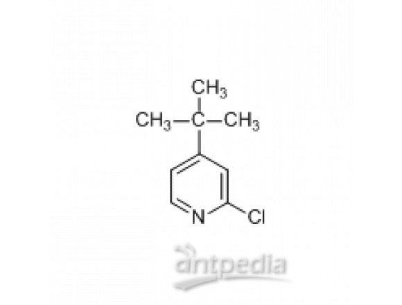 4-叔丁基-2-氯吡啶