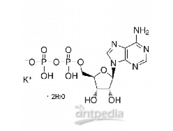 腺苷-5'-二磷酸单钾盐二水合物