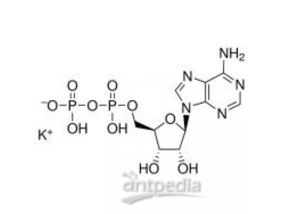 腺苷 5′-二磷酸 单钾盐 二水合物