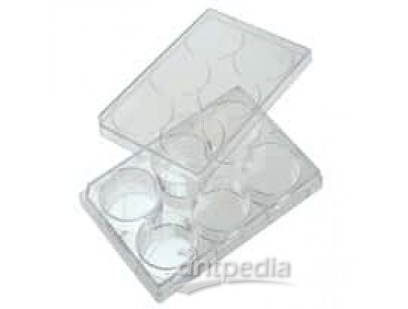 CELLTREAT Scientific Products 229548 48-Well Cell Culture Plate with Lid; 100/cs