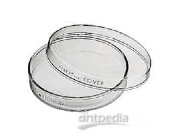 Pyrex 3160-102 Brand 3160 petri dish; 100 x 20 mm, case of 72