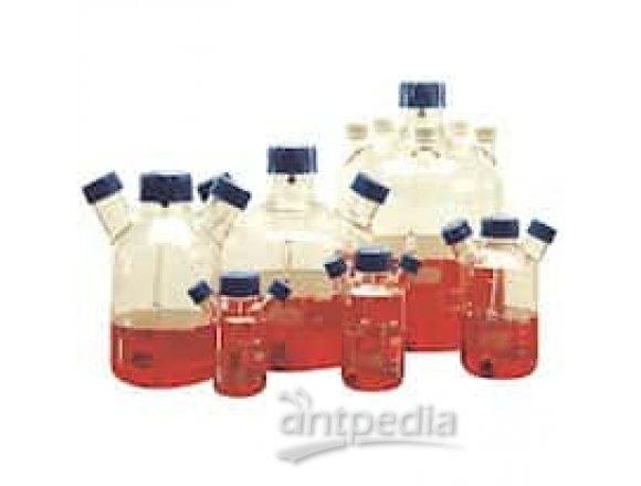 Techne Glass Cell Culture Flask Only, 250 mL; 1/ea