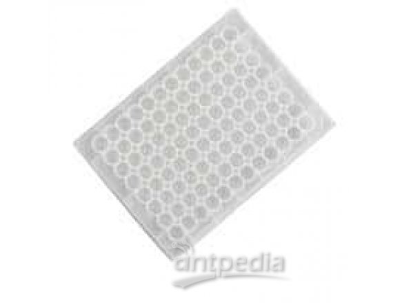 Thermo Scientific Nunc 442587 96-Well Microplates, PP, Conical, 0.3 mL, nonsterile