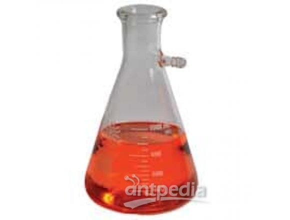 United Scientific Supplies Filtering Flask, Borosilicate Glass, 100 mL; Pk/6