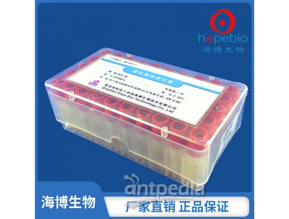 液体菌种保存管(不含瓷珠)(40%甘油)    HBPT001-5   	1.4ml*50支/盒
