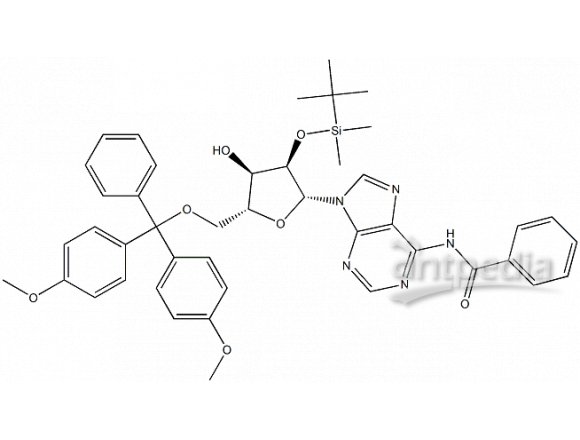 O844629-50mg 5'-o-(4,4'-二甲氧基三苯甲基)-2'-o-叔丁基二甲基硅基-N6-苯甲酰基腺苷,95%