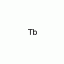 T819524-1g 铽粉,99.9% metals basis