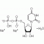 U820306-500mg 尿苷-5