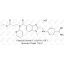 达比加群酯杂质16  盐酸盐 211914-50-0 C27H29N7O3 • HCl