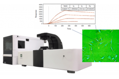 Biosensing Instrument 表面等离子体共振显微镜SPRm 200 适用于A431cell，anti-EGFR