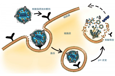 脂质纳米颗粒LNPs设备 IJM碰撞喷射混合器 mRNA疫苗生产设备