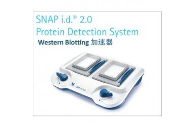 SNAP i.d. Western Blotting免疫印迹加速器