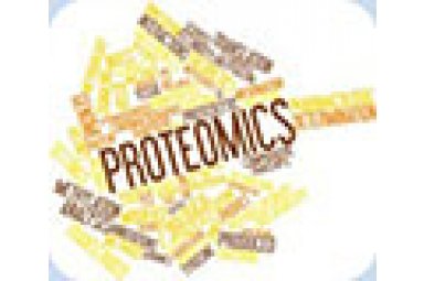 蛋白质组学技术服务