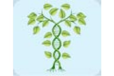 分子生物学整体服务植物基因 技术服务询价单