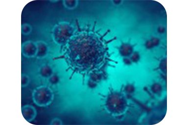 腺相关病毒病毒转染/细胞转染 应用于细胞生物学